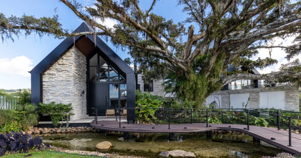 Arquitetura e natureza: conheça a casa de 970m² construída ao redor de uma figueira centenária